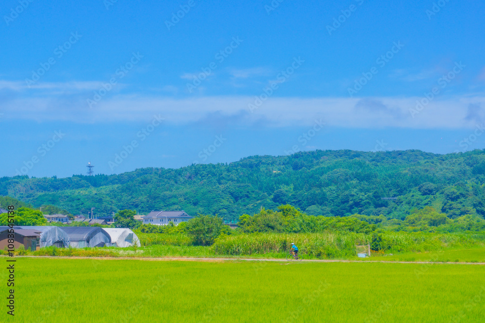 Obraz premium サイクリストと田園風景