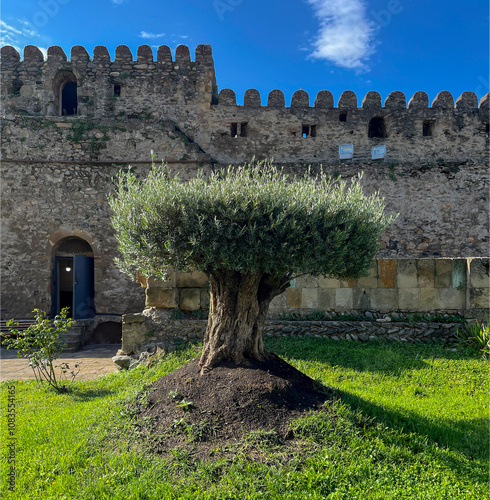 historical monuments of Georgia - Mtskheta, Jvari Monastery photo