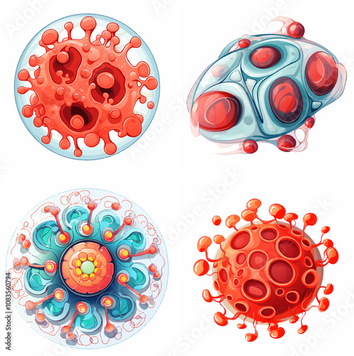 nucleolus cell nucleus organelle ribosome RNA protein synthesis eukaryotic genetic material