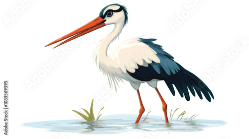 white stork ciconia