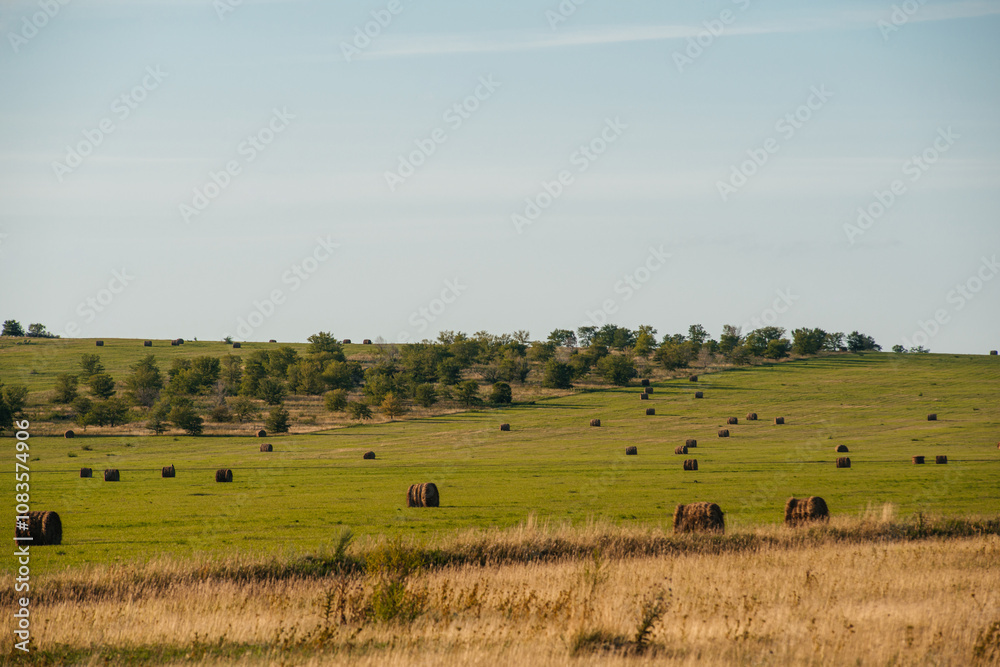 Obraz premium Rolls of hay lie on a green meadow at sunset