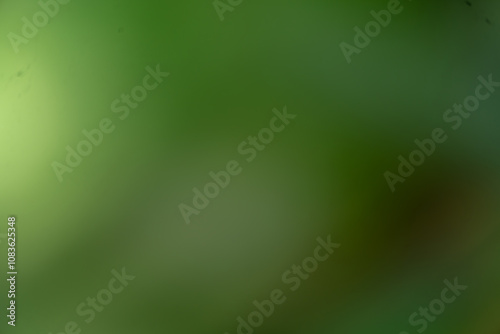 abstract gradient mesh. rainforest blur. green blurred background with vertical color tones, healthy lifestyle concept photo