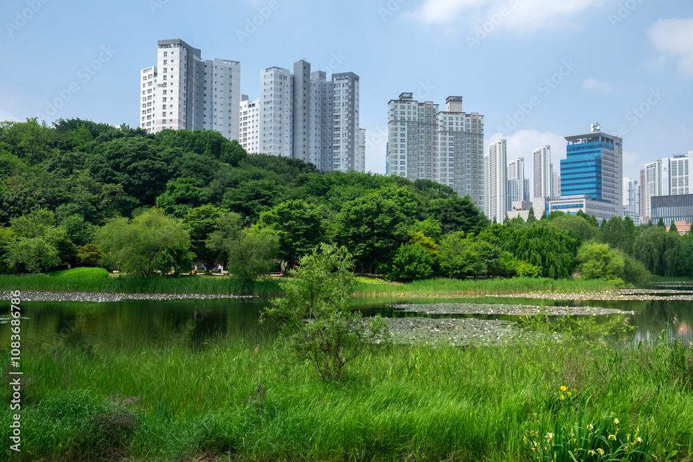 Fototapeta premium Beautiful park and apartments