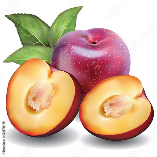 Plum is a sweet and sour fruit with a fresh taste