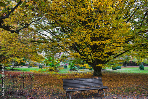 Herbst im Park photo