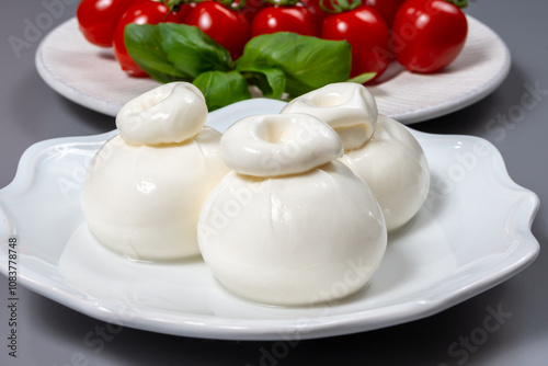 Cheese collection, fresh soft white burrata cheese ball made from mozzarella and cream from Apulia, Italy, close up photo