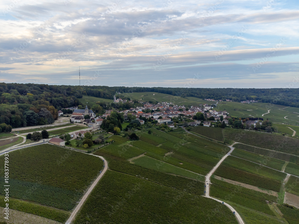 Fototapeta premium Panoramic aerial view on green premier cru champagne vineyards and fields near village Hautvillers and Cumieres and Marne river valley, Champange, France