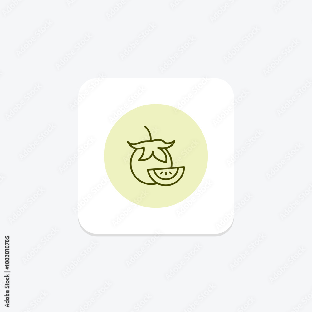 Obraz premium Tomato pentaglow , vector, pixel perfect, illustrator file