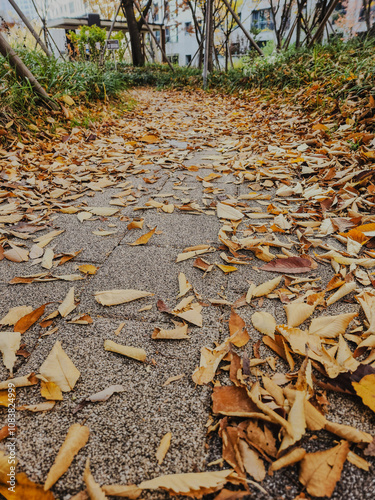 a path in a park off the side of a fall