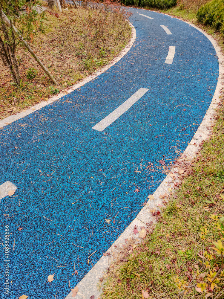 Obraz premium a track in a park