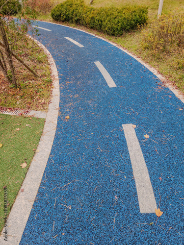 a track in a park