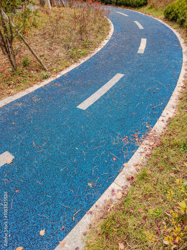 a track in a park