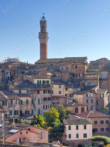 Siena vista da San Domenico