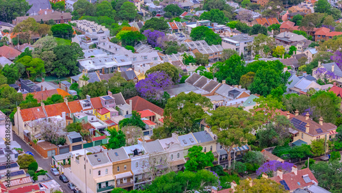 Aerial drone view over Sydney inner suburb of Glebe and Annandale close to Sydney Harbour NSW Australia beautiful colourful roof and tree lined streets green orange purple photo