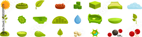 Chloroplast photosynthesis icons set. Photosynthesis icons depict plant growth, energy conversion, and biological processes, visualizing sun, leaf, water, oxygen, and carbon dioxide