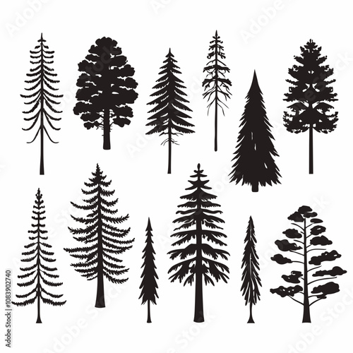 Silhouettes of Pine and Spruce Trees, Christmas Tree Silhouette - Pine and Spruce in Black and White Minimalist Design,