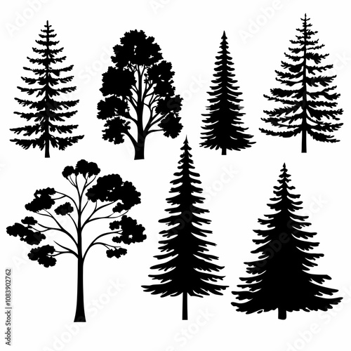 Silhouettes of Pine and Spruce Trees, Christmas Tree Silhouette - Pine and Spruce in Black and White Minimalist Design,