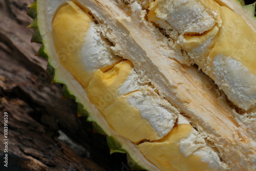 Fresh durian on wooden background photo