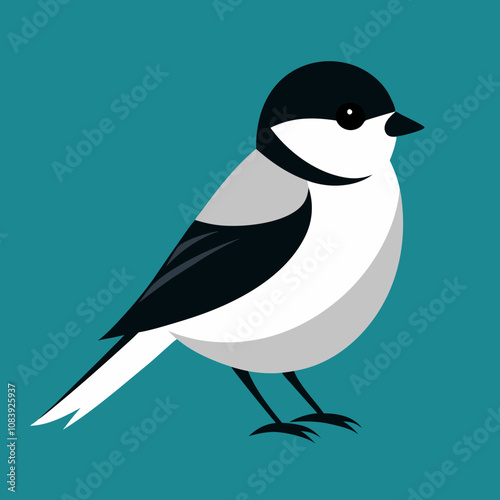 Black capped Chickadee Vector Illustration