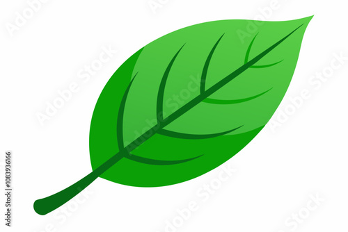 A simple flat-style green leaf illustration.