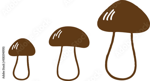 Cep, porcini  mushroom. Vector illustration boletus edulis isolated on white background.