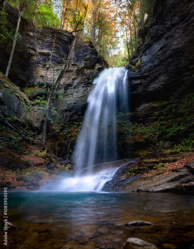 Obraz premium Cascada en medio de un bosque frondos, vista a ras de a cascada