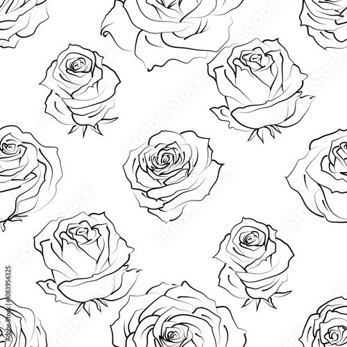 Seamless pattern with hand drawn rose flowers on white. Vector floral sketch background. Summer botanical doodle illustration. Monochrome outline design good for print fabric, wrapping paper, web