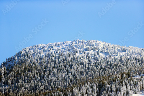 French Alps in winter with fresh snow. photo