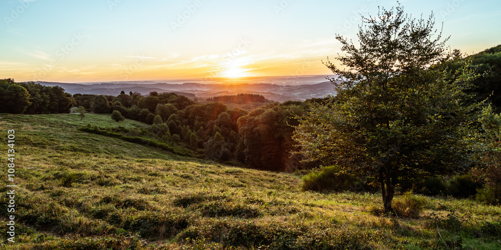 Fototapeta premium Sonnenaufgang im Burgund