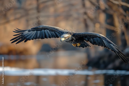 Majestic bald eagle soaring against a bright blue sky with fluffy clouds in t...