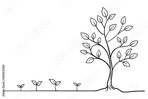 Journey of a Tree, Line Drawing from Birth to Growth - Vector Illustration