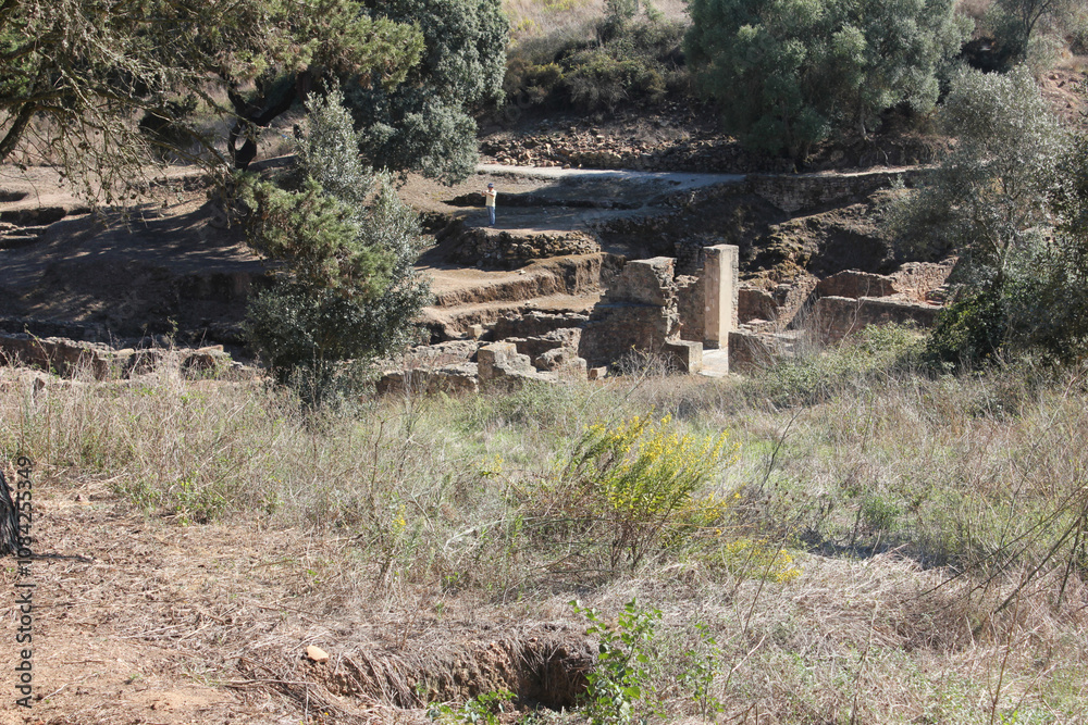 Obraz premium Views from mirobriga in September 25 2011