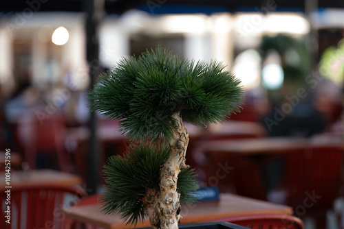 Elegantes Restaurant mit moderner Einrichtung photo