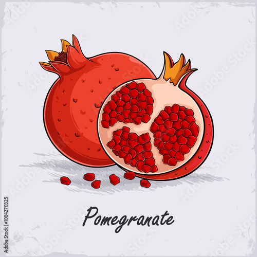 Hand drawn delicious organic fully and half cut garnet pomegranate, rich of vitamins good for health