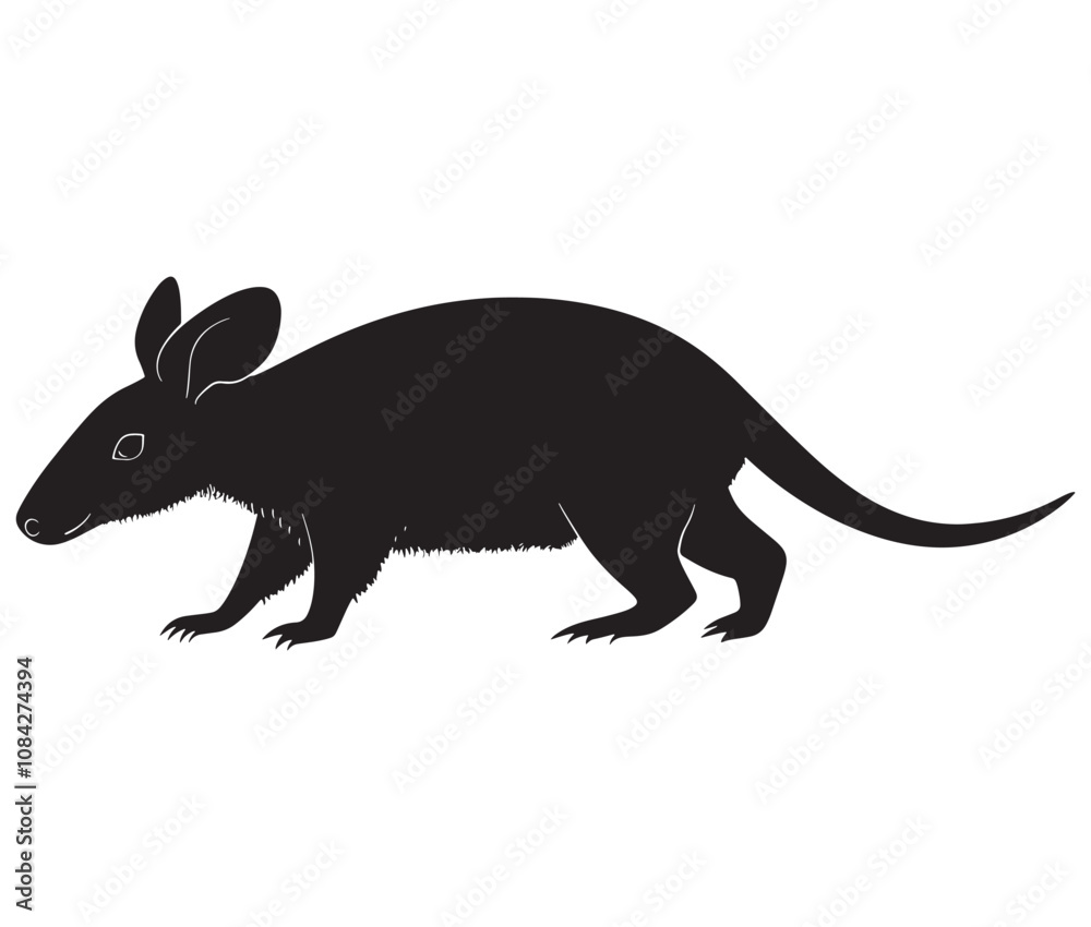 Obraz premium Silhouette of a aardvark