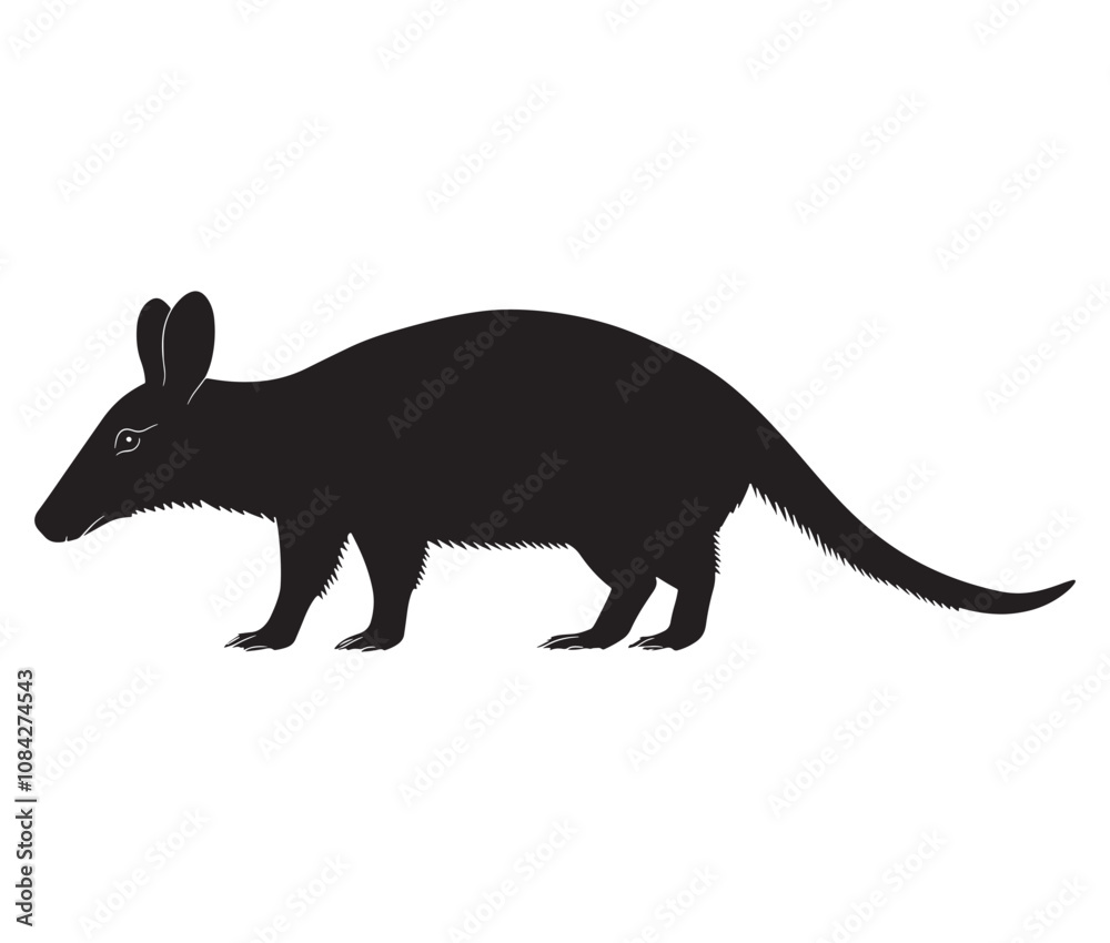Obraz premium Silhouette of a aardvark