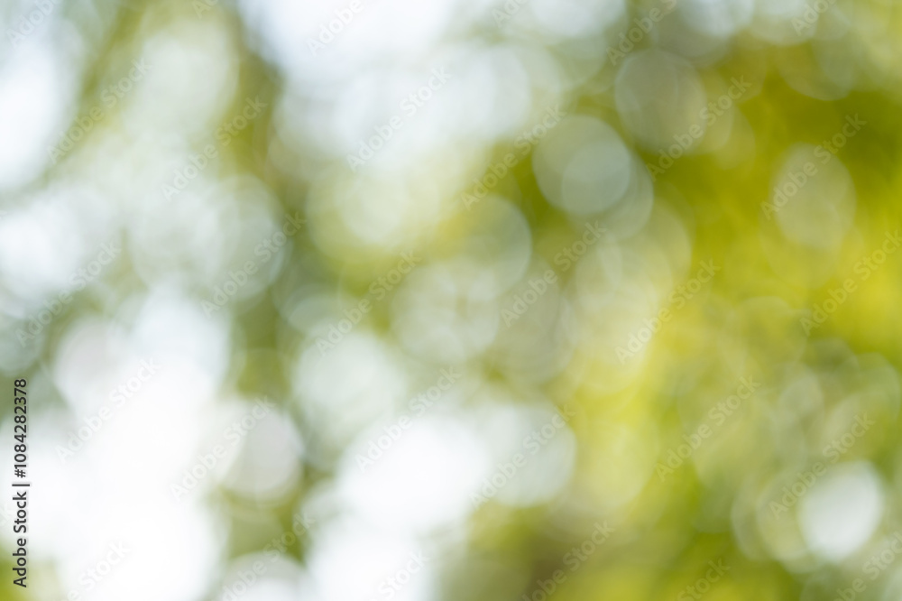 Fototapeta premium Nature abstract bokeh outdoor garden photography soft focus close-up tranquil atmosphere