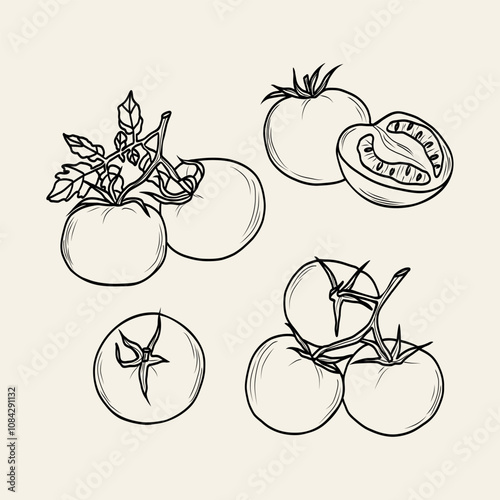 Line art tomato branches set
