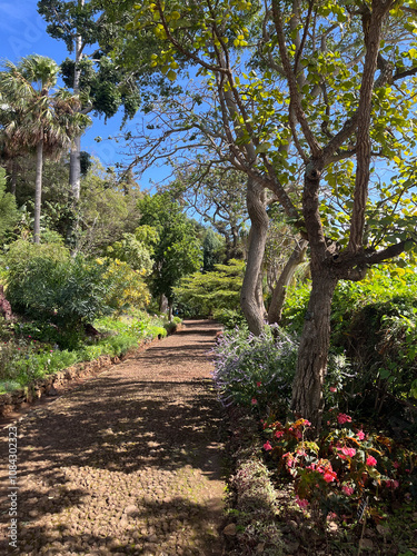 Serene Garden Pathway Surrounded by Lush Greenery