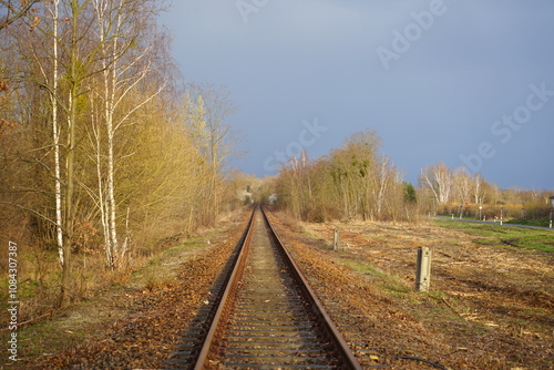 Eisenbahnstrecke im Wald photo