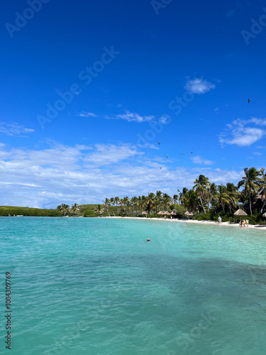 Tropical Paradise Beach With Palm Trees and Clear Blue Waters