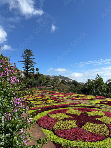 Vibrant Botanical Garden with Geometric Floral Design in Bloom