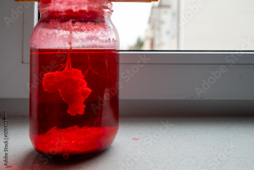 school chemistry lesson homework assignment - growing salt or sodium chloride crystals in a jar photo