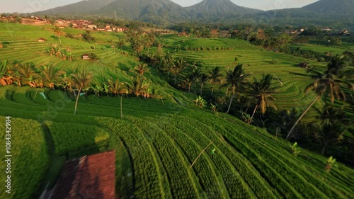 Fpv drone flight over the rice terraces in Ubud at sunrise in Bali
