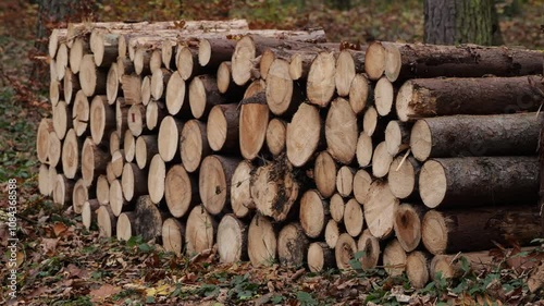 stack of firewood