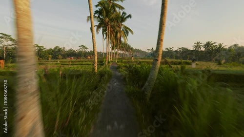 Fpv drone flight over the rice terraces in Ubud at sunrise in Bali