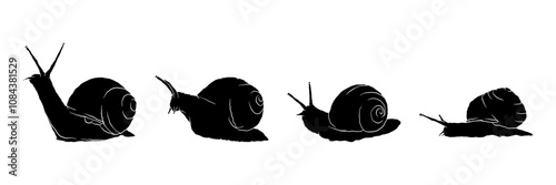 Snail silhouette collection vector illustration