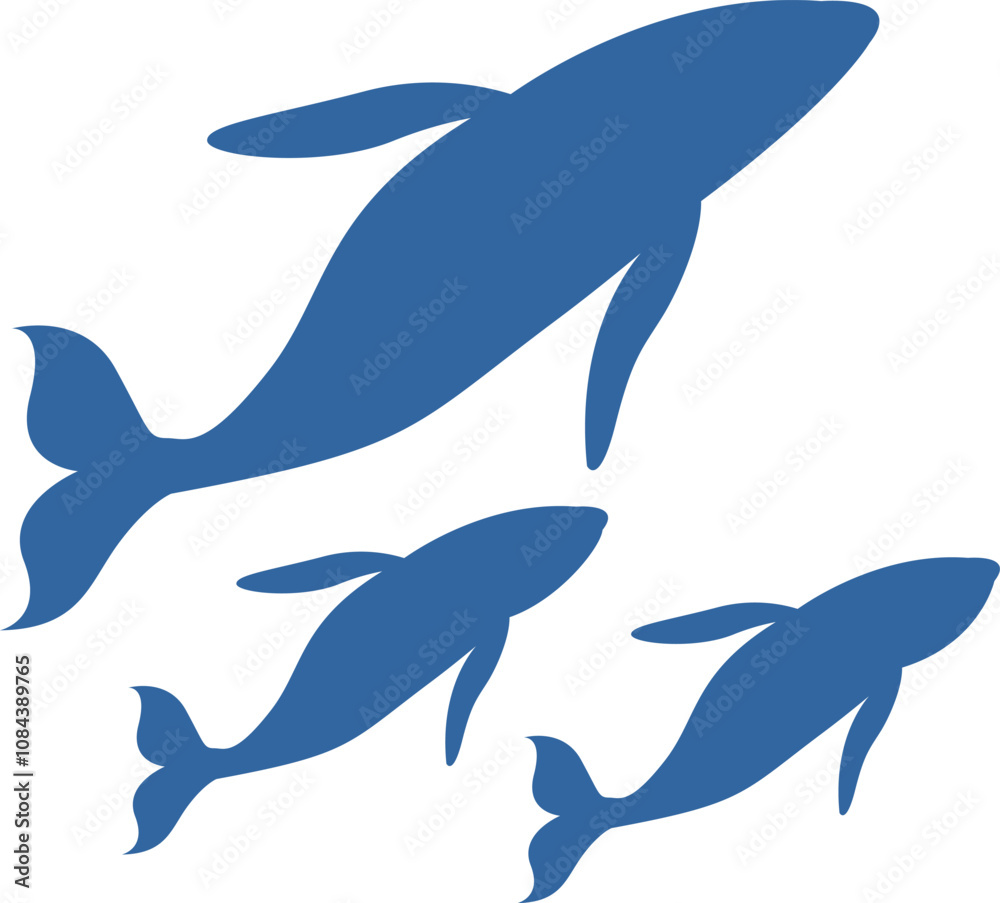 Obraz premium whale sea animal