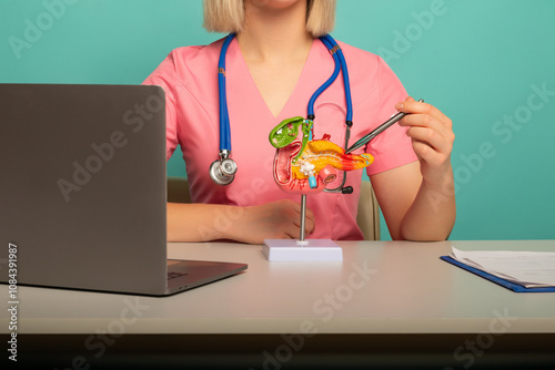 woman doctor pointing a pancreas anatomical model photo