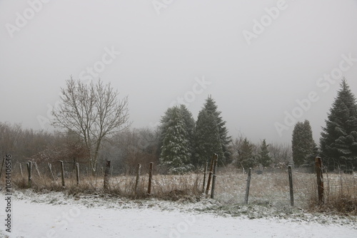 Landschaft am Waldrand im Winter photo